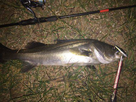 怒涛のバイトラッシュ！